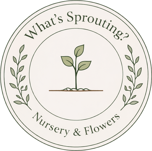 What's Sprouting? Nursery & Flowers