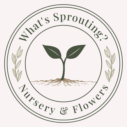 What's Sprouting? Nursery & Flowers